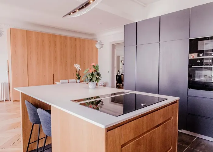 Luxueux Duplex Elysees Daire Paris