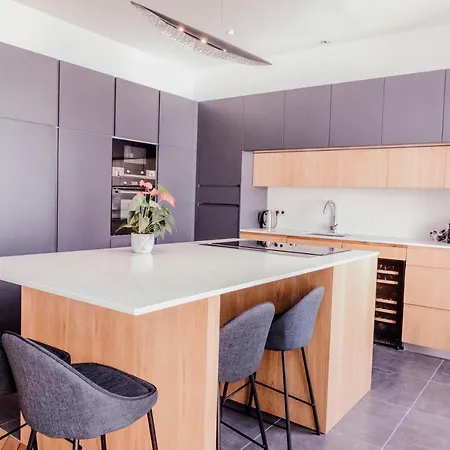 Luxueux Duplex Elysees Appartement