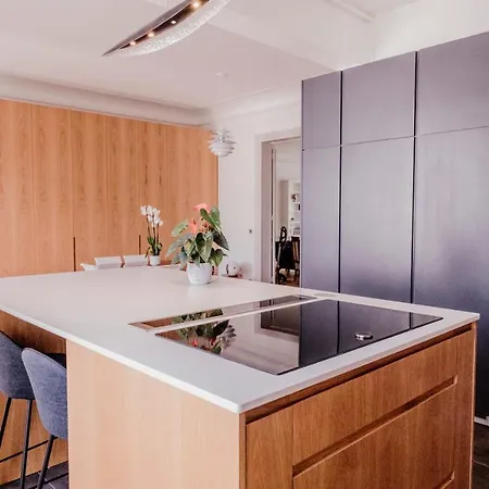 Luxueux Duplex Elysees Daire Paris